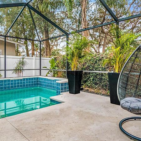 Modern House In Clearwater With Access To A Shared Swimming Pool Lejlighed Safety Harbor Eksteriør billede